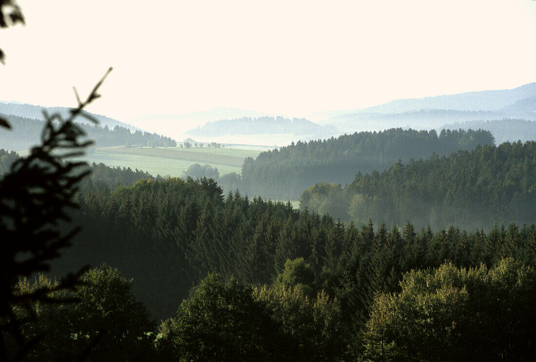 Landschaft bei Grafenau, Bayerischer Wald, Niederbayern, Bayern, Deutschland