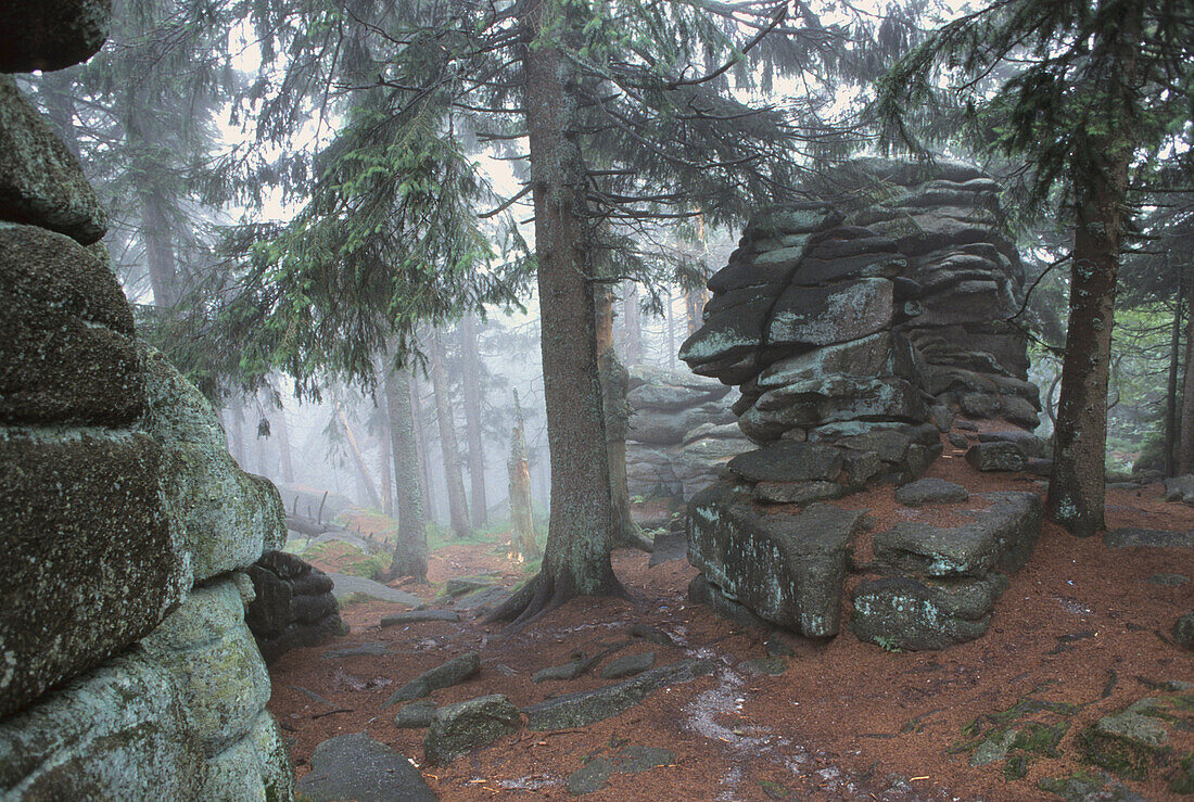 Rock formation near Dreisessel, Bavarian Forest, Bavaria, Germany