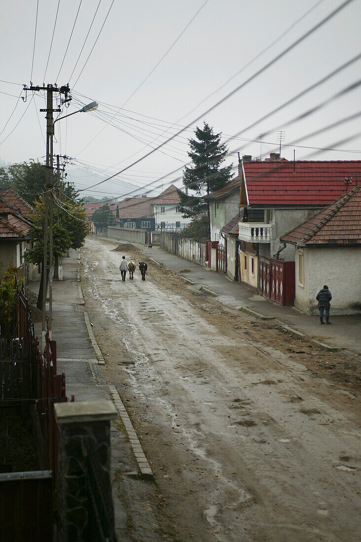 Village in Transylvania, Romania