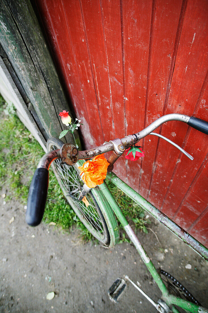 Bicycle with flowers, Transylvania, Romania