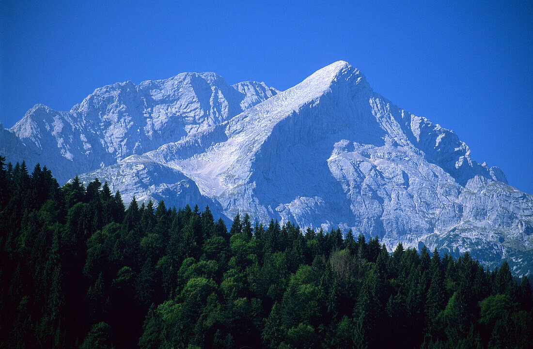 The Alpspitze mountain behind forest near the town of Garmisch-Paertenkirchen, Bavaria, Germany
