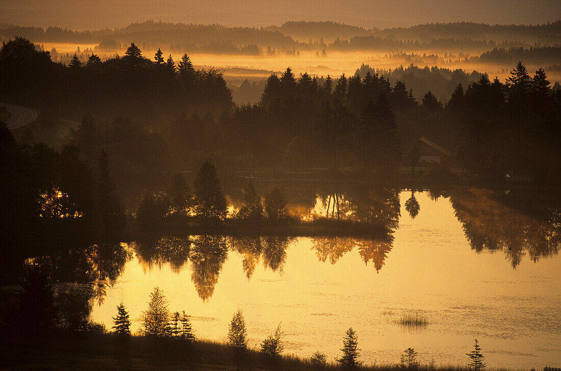 Der Schwaigsee bei Bayersoien im frühen Morgenlicht, Bayern, Deutschland