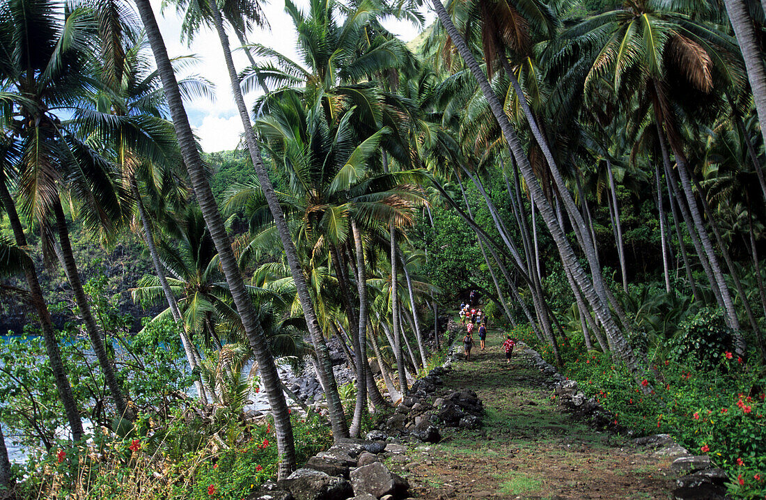 Die alte Königsstrasse in Hapatoni auf der Insel Tahuata, Französisch Polynesien