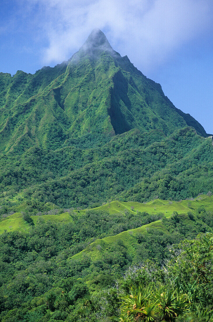 Berg im wilden Inneren der Insel Fatu Iva, Französisch Polynesien