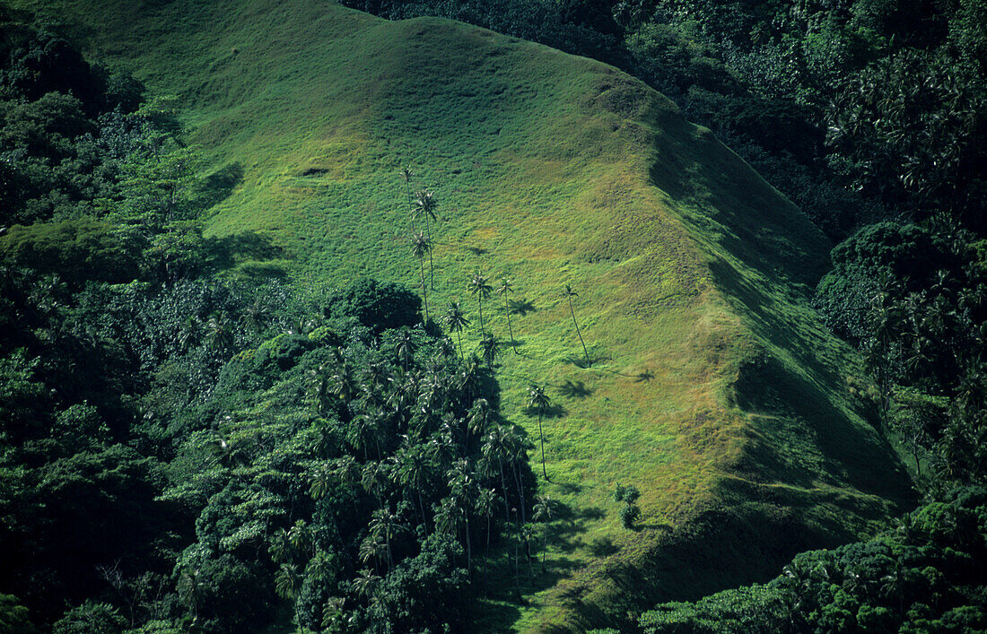 The wild interior of the island of Fatu Iva, French Polynesia