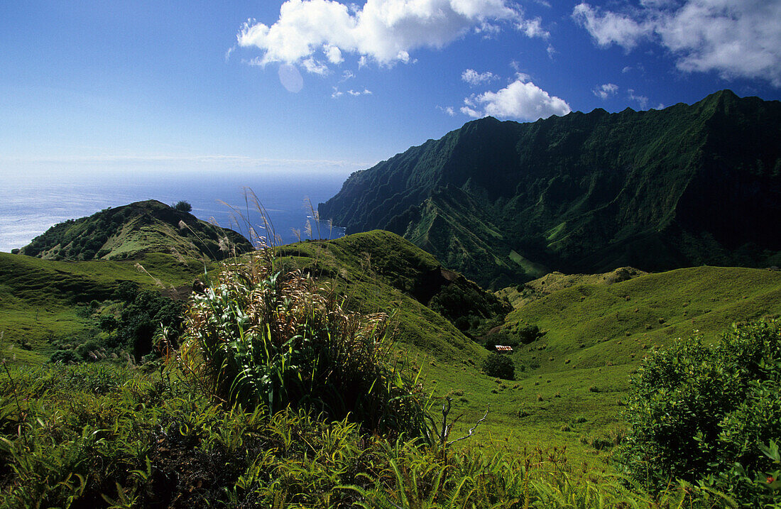 View at the wild interior of the island of Fatu Iva, French Polynesia