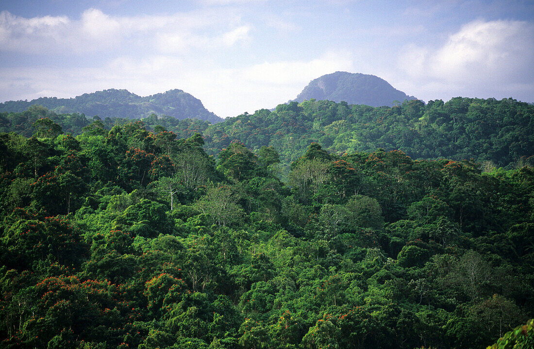 Mountains and rainforest on Viti Levu Island, Fiji Islands