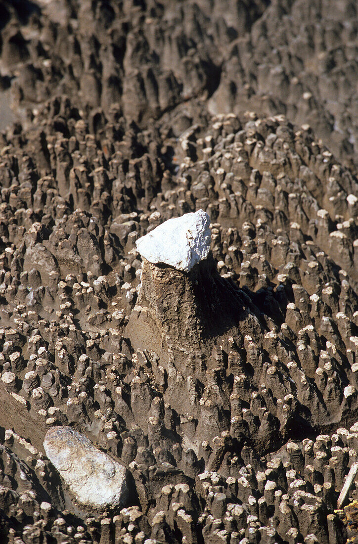 Ausgetrocknete Schlammquelle in einem Thermalgebiet auf der Nordinsel, Neuseeland