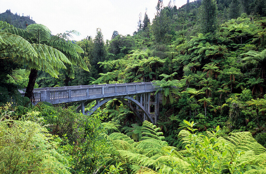 The Bridge to Nowhere in the greens, North Island, New Zealand