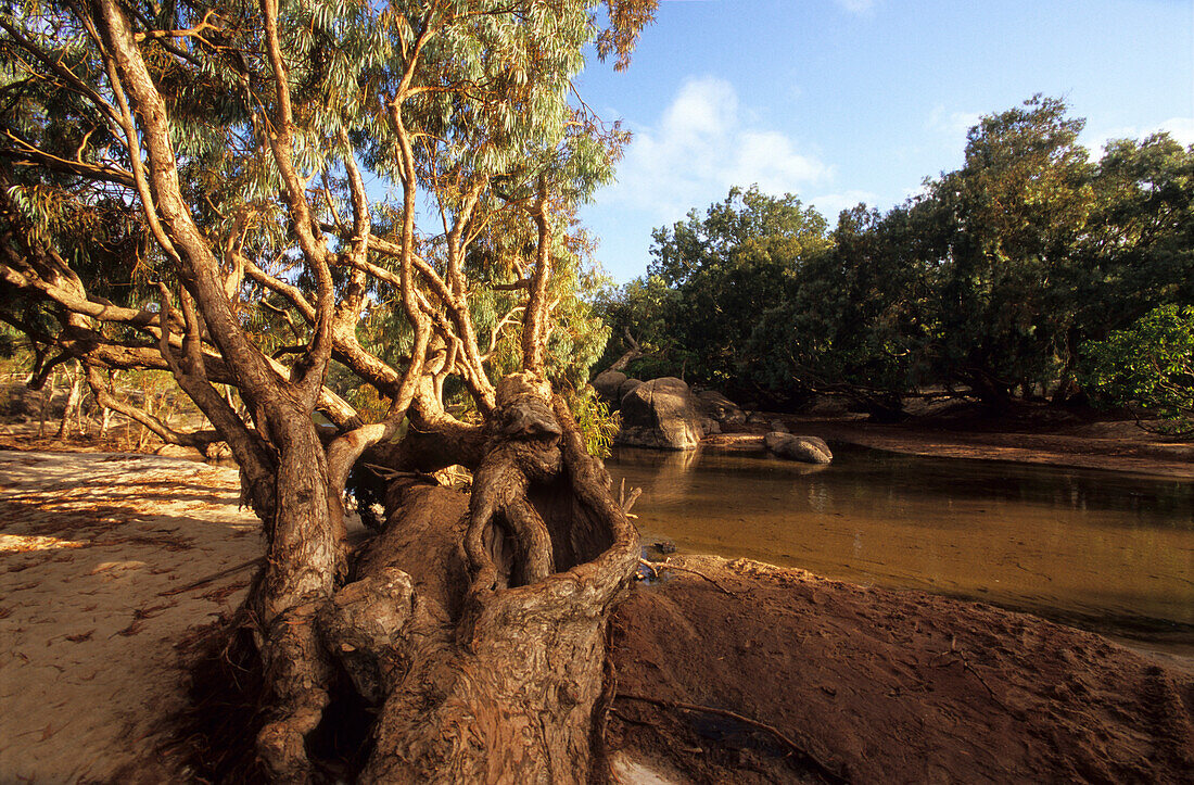 The Archer River on the Cape York Peninsula during the dry season, Queensland, Australia