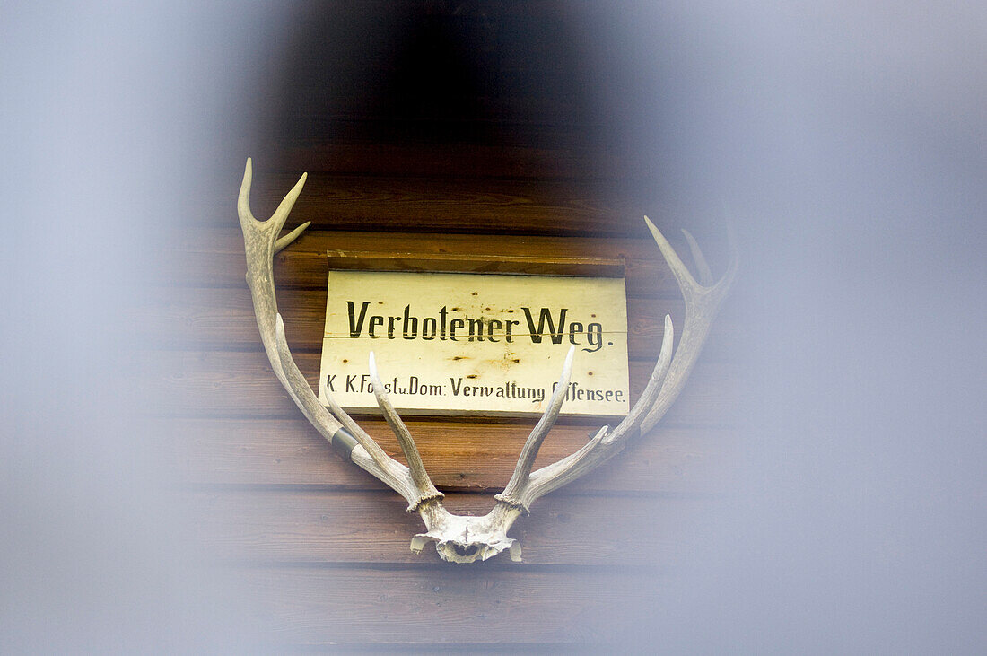 Verbotsschild zwischen einem Geweih an einer Holzwand, Höllengebirge, Oberösterreich, Österreich