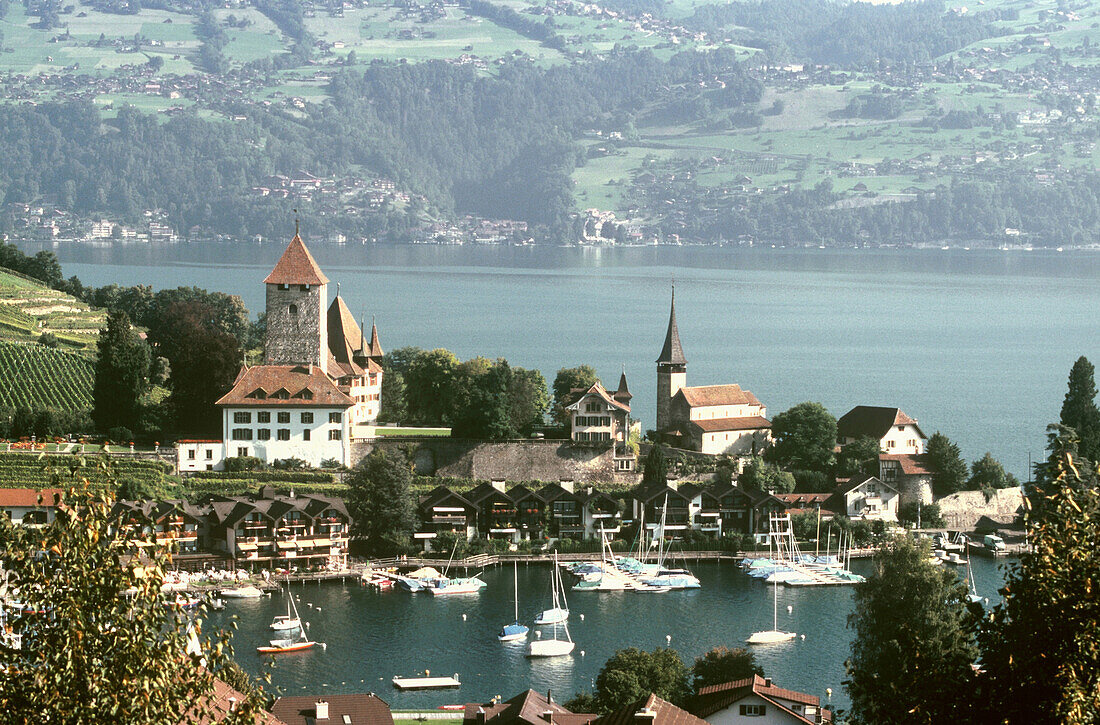 View to Spiez castle at Lake Thun, Spiez, Bernese Oberland, Canton of Bern, Switzerland
