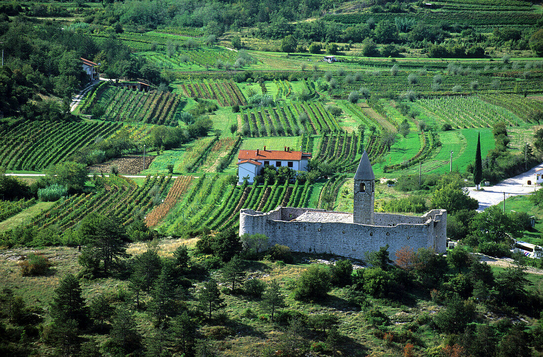 The fortified church of the Holy Trinity in Hrastovlje, Slovenia