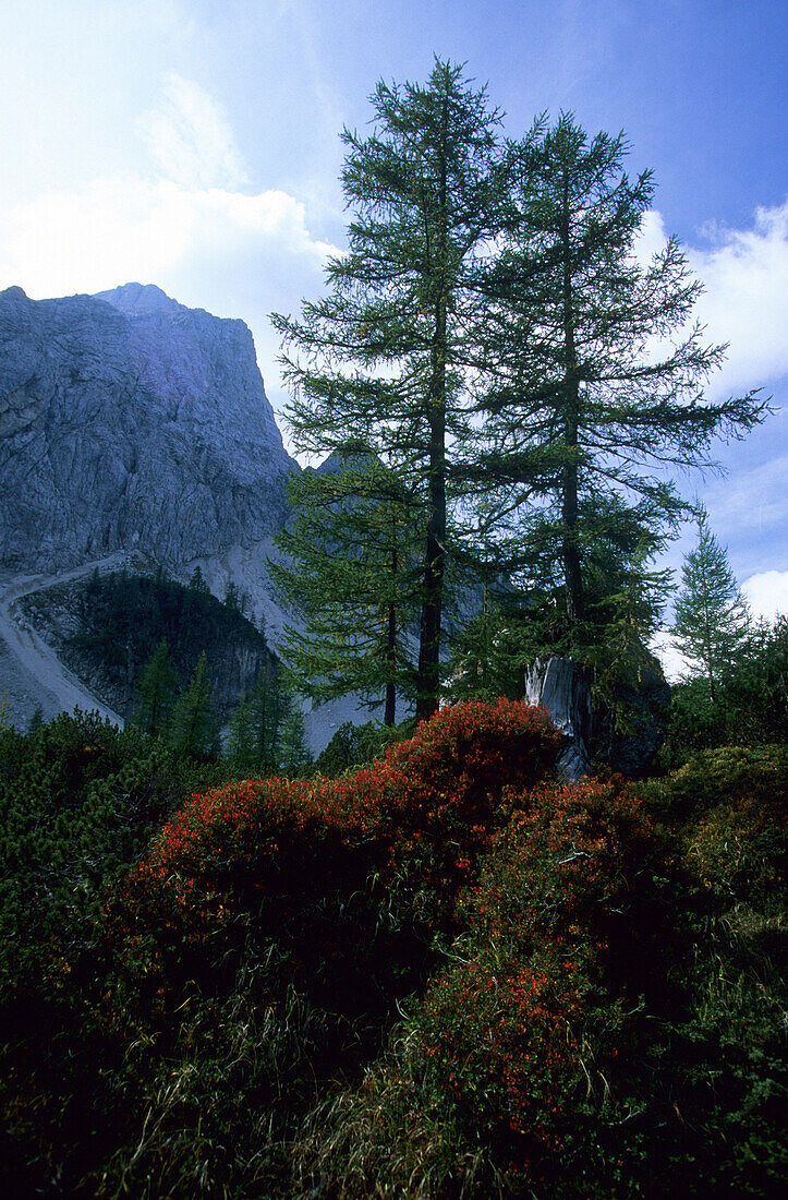 Triglav National Park near Vrsic Pass, Slovenia