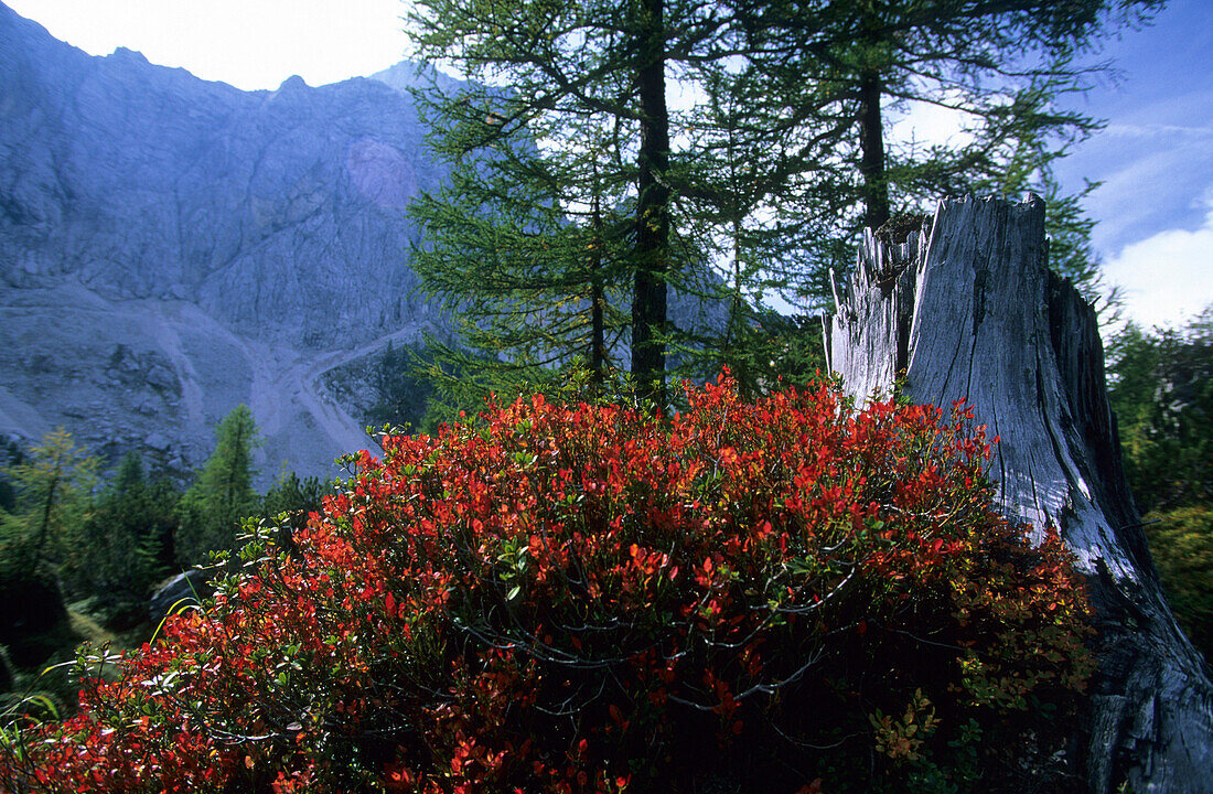 Triglav Nationalpark nahe dem Vrsic Pass, Slowenien