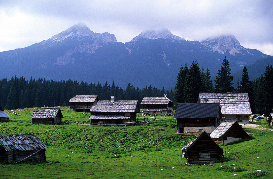 Alpine hamlet in the Pokljuka in Triglav National Park, Slovenia