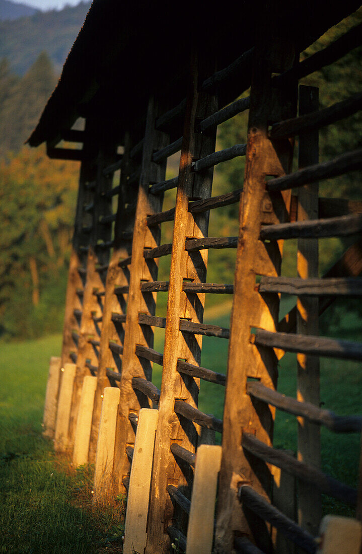 Hay racks on a farm near Bled, Slovenia