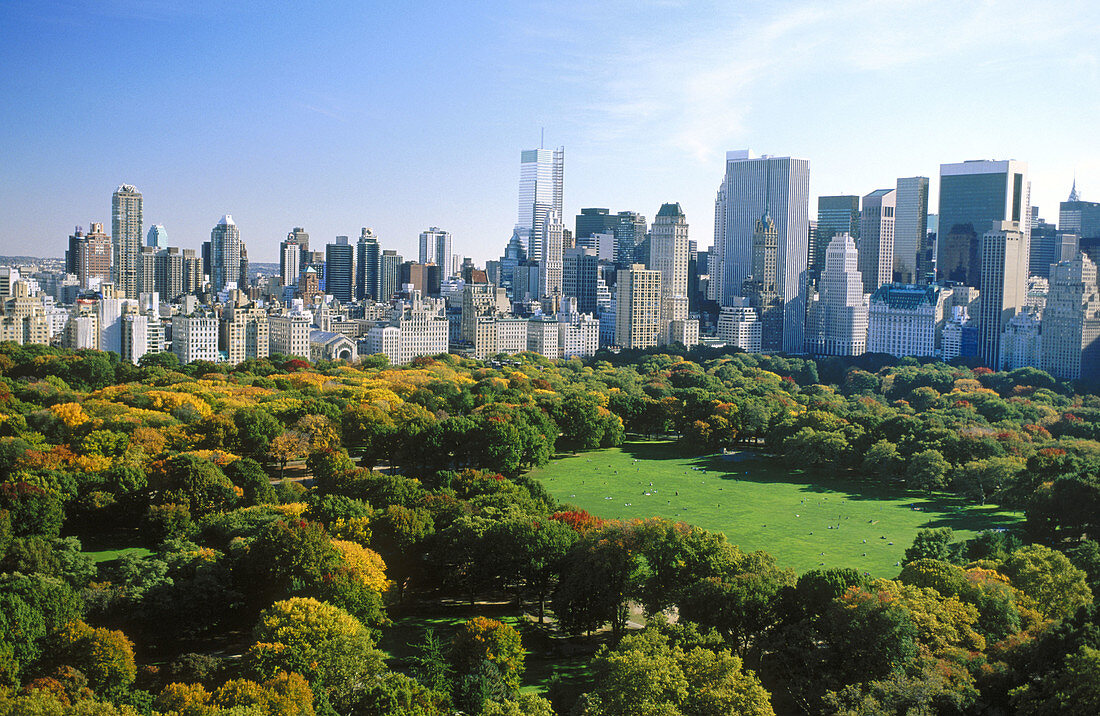 Central Park and buildings in Manhattan, New York City. USA