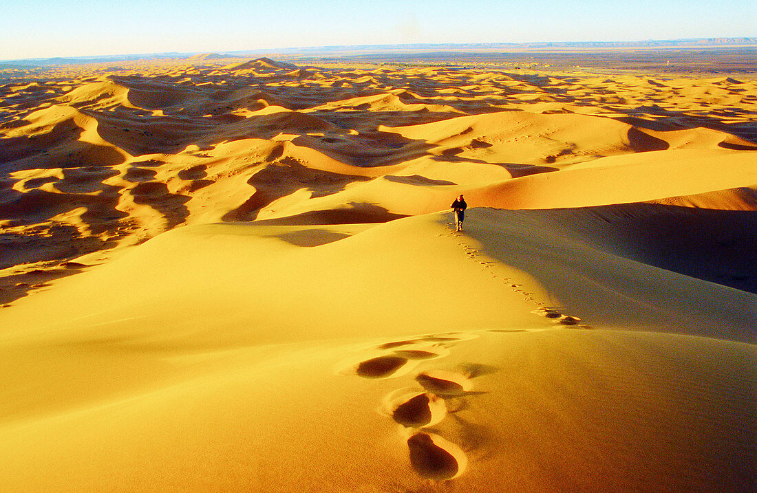 Erg Chebbi sand dunes. Morocco