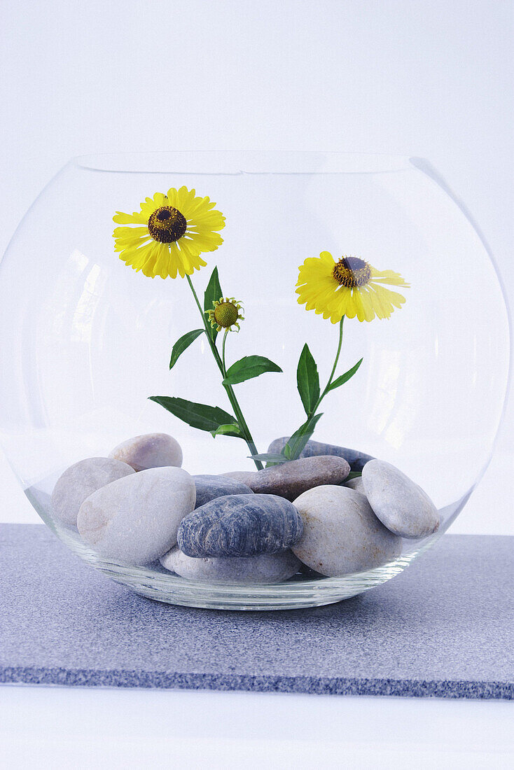 Fishbowl and flowers