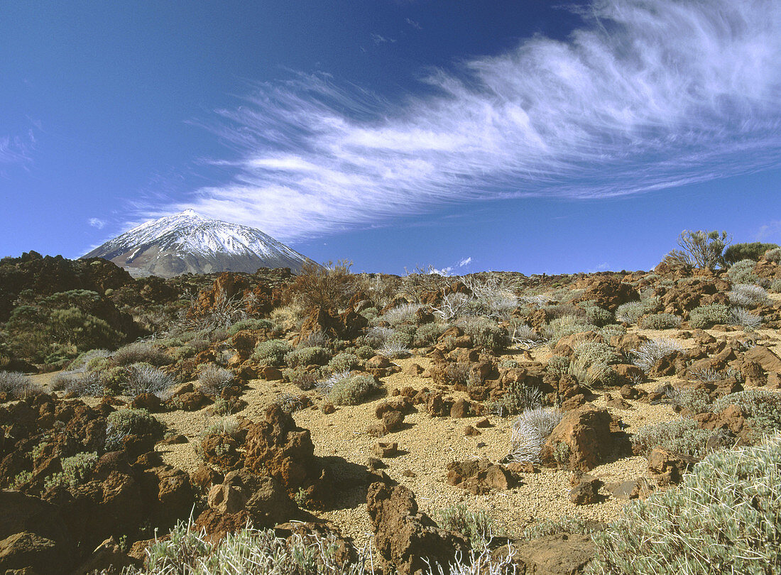 Teide Volcano. Cañadas del Teide National Park. Tenerife. Canary islands. Spain