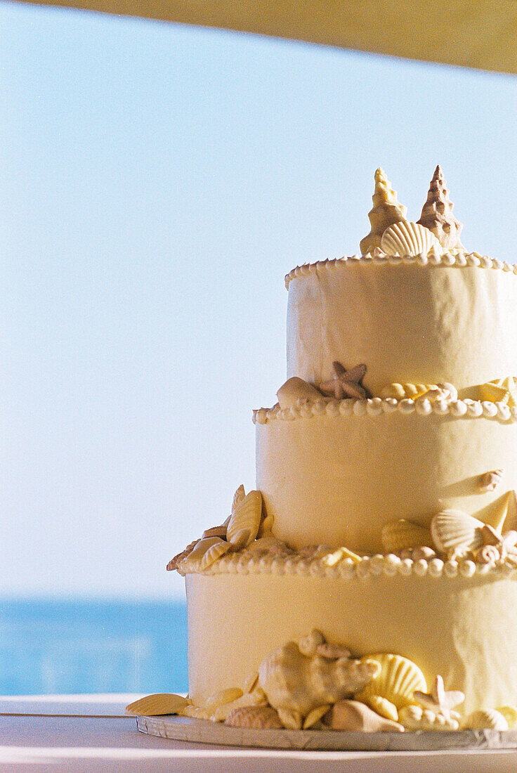 Celebrate, Celebrating, Celebration, Celebrations, Close up, Close-up, Closeup, Color, Colour, Concept, Concepts, Daytime, Detail, Details, Exterior, Horizontal, Outdoor, Outdoors, Outside, Ready, Romantic, Seashell cake, Still life, Sweet, Table, Tables,