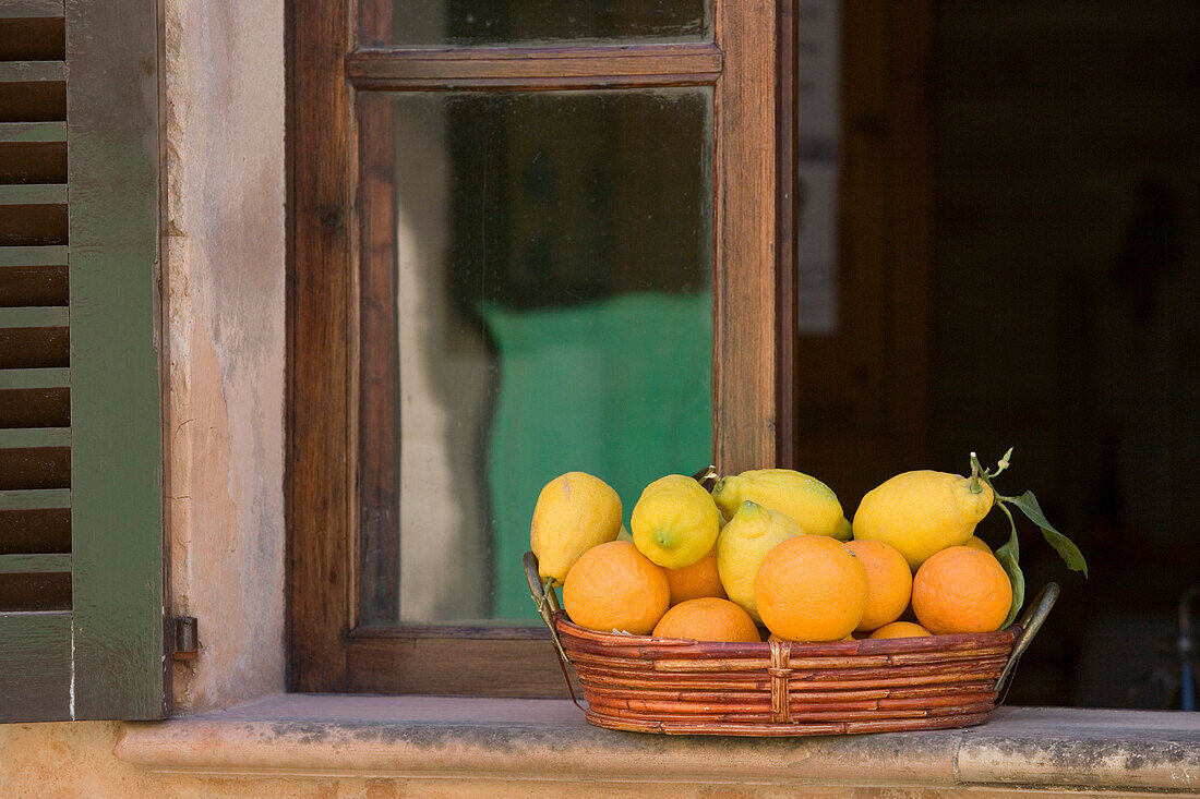 Stillleben mit Orangen und Zitronen auf Fensterbank im Café del Ronda, Alcudia, Mallorca, Balearen, Spanien, Europa