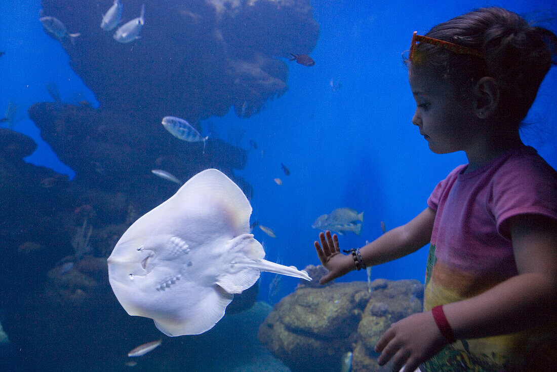 Junges Mädchen bewundert Rochen im Palma Aquarium, El Arenal, Playa de Palma, Mallorca, Balearen, Spanien, Europa
