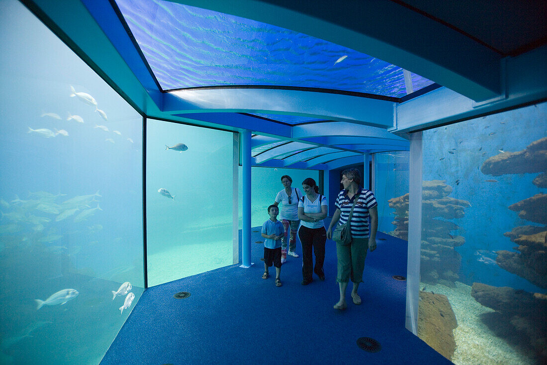 Familie bewundert Fische im Palma Aquarium, El Arenal, Playa de Palma, Mallorca, Balearen, Spanien, Europa