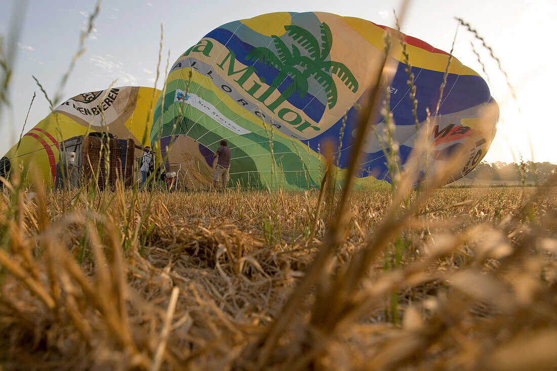 Mallorca Balloons Heißluftballone füllen sich, nahe Manacor, Mallorca, Balearen, Spanien, Europa