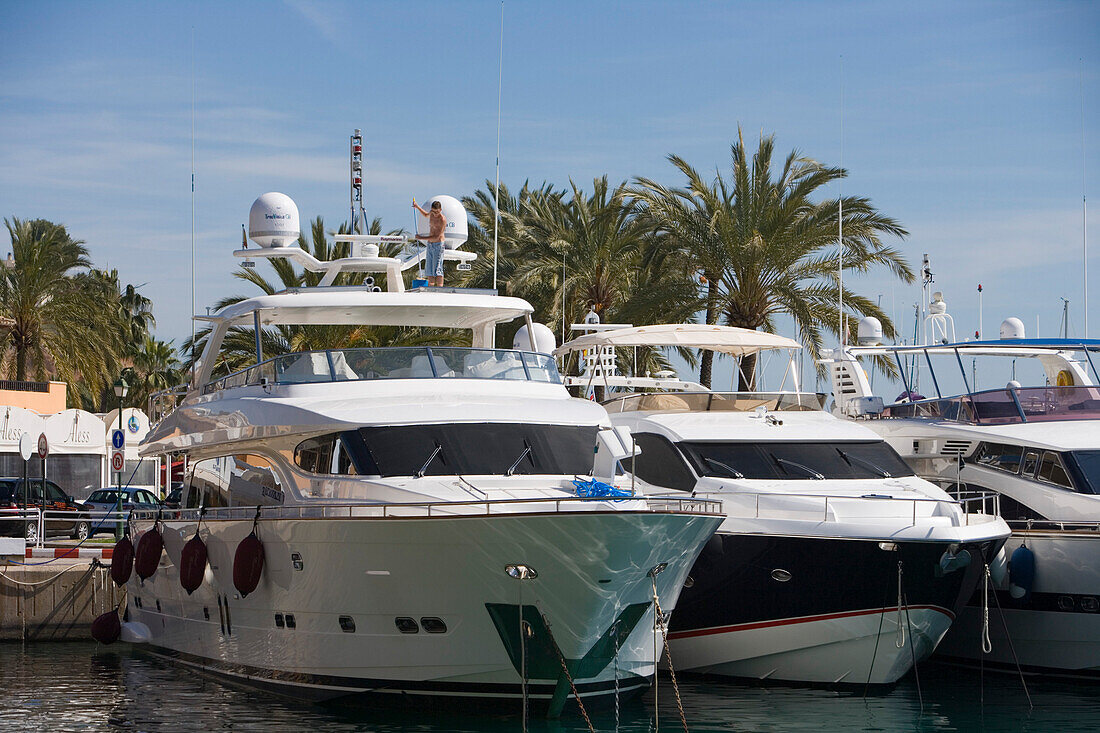 Luxusyachten in der Portals Nous Marina, Portals Nous, nahe Palma, Mallorca, Balearen, Spanien, Europa