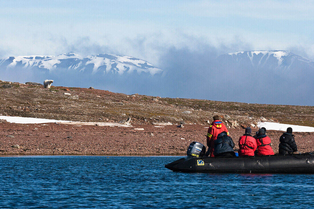 Touristen beobachten Eisbär von Schlauchboot aus, Spitzbergen, Norwegen