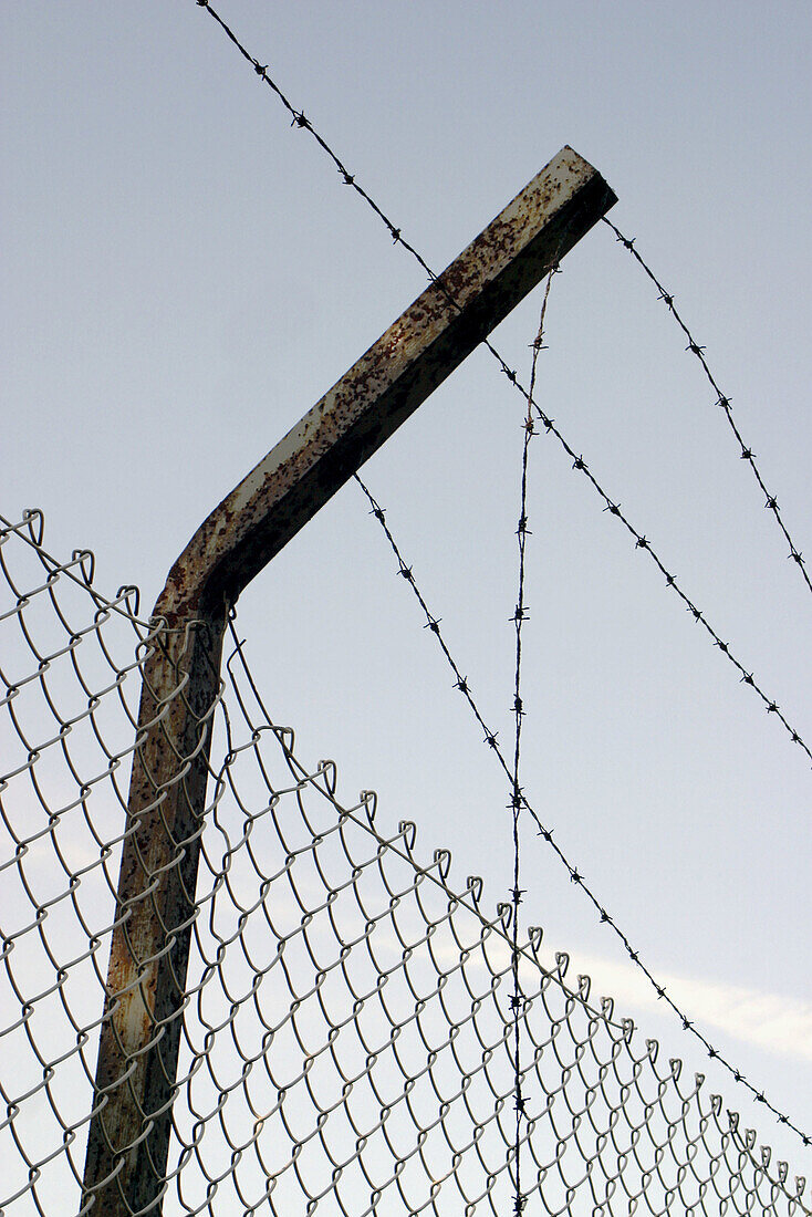 Barbed wire