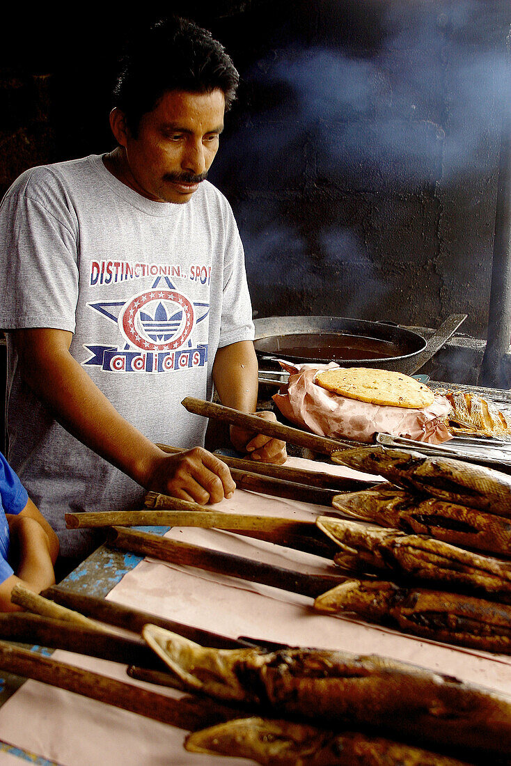 Gars. Tabasco, Mexico