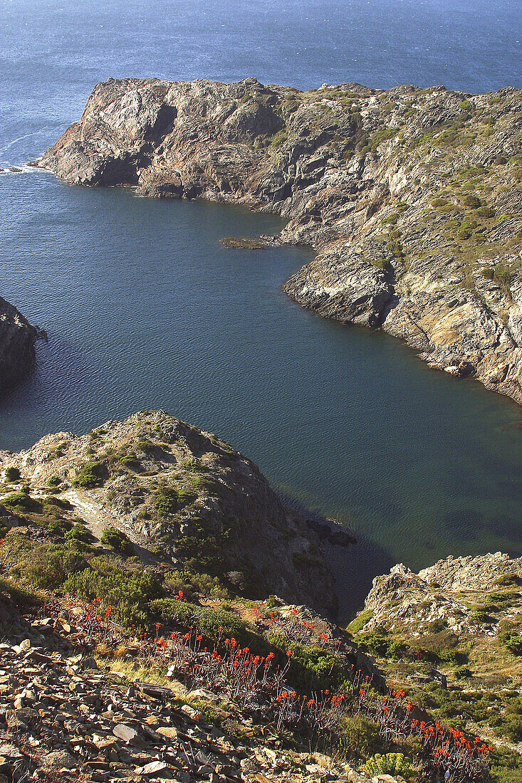 Cap de Creus. Girona province, Catalonia, Spain