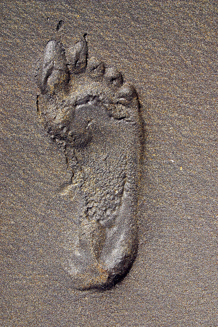 Footprint. San Agustinillo beach, Oaxaca. Mexico