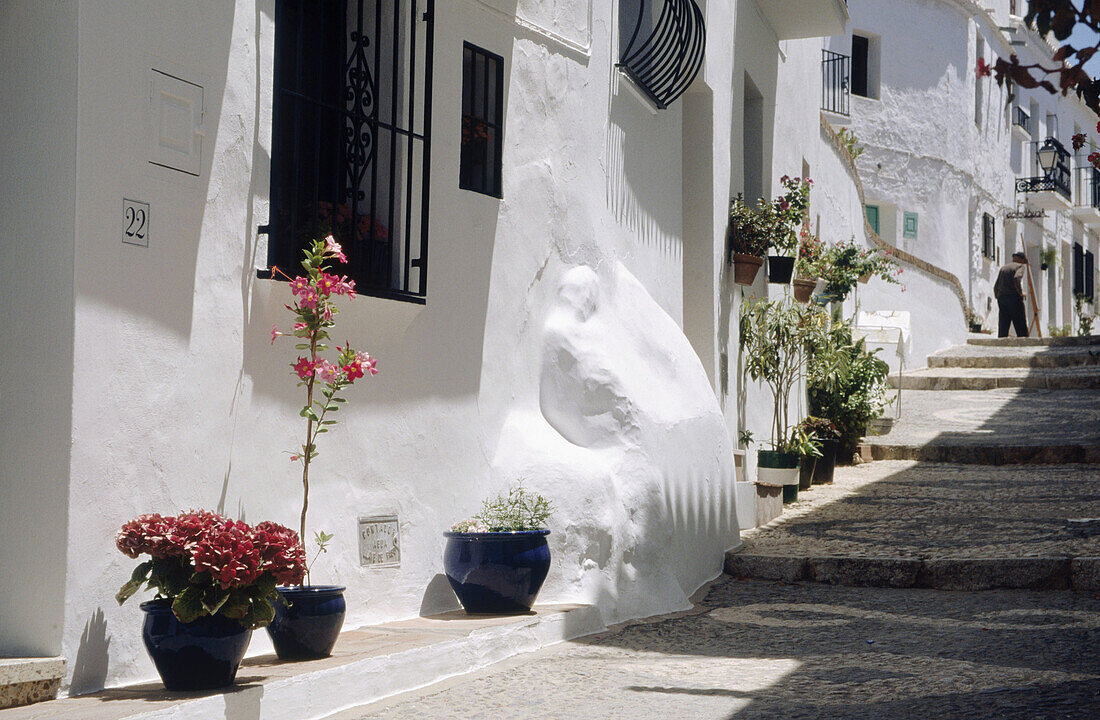 Frigiliana. White village. Andalusia. Spain