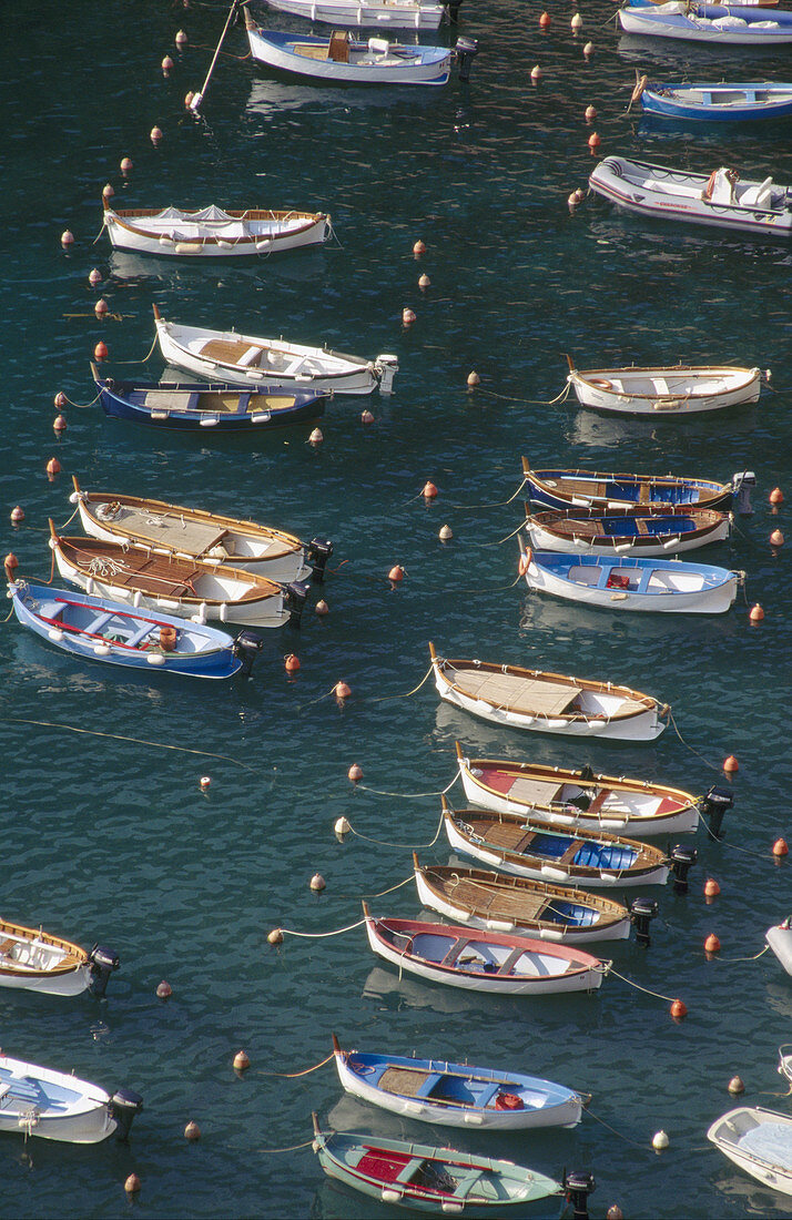 Vernazza. Cinqueterre. Italy