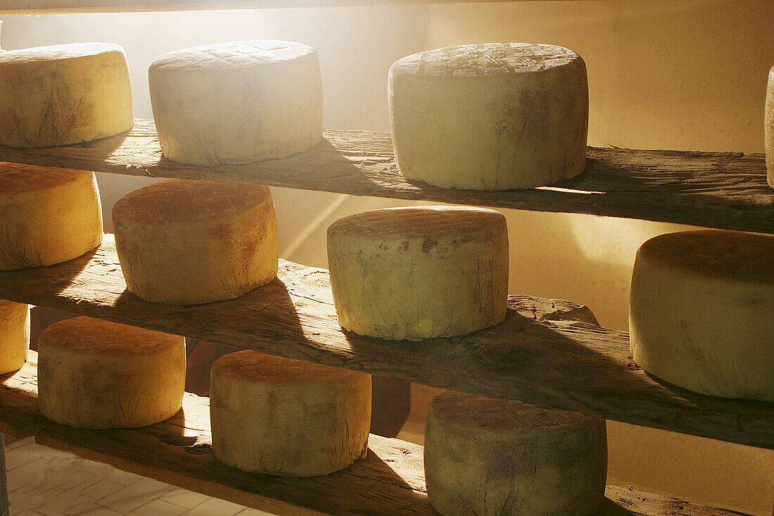 Cheese drying
