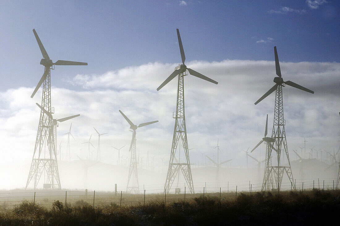An early morning in the windfarm with low clouds.