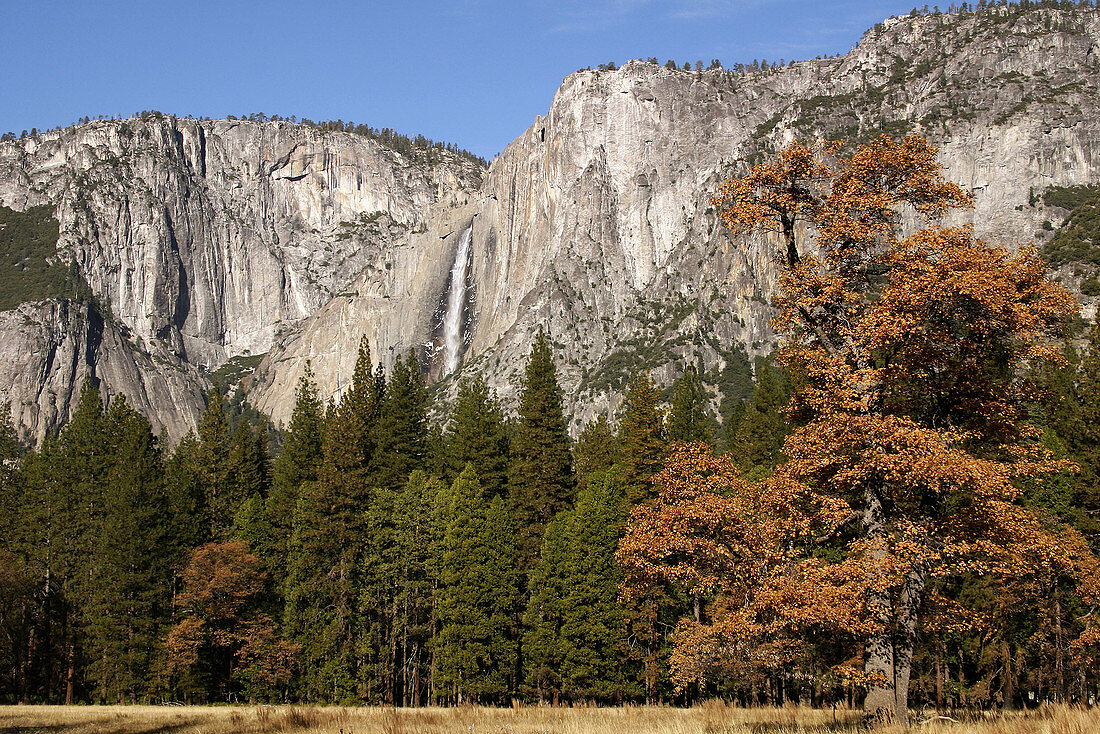 Upper Yosemite Falls in Yosemite National Park in the fall.