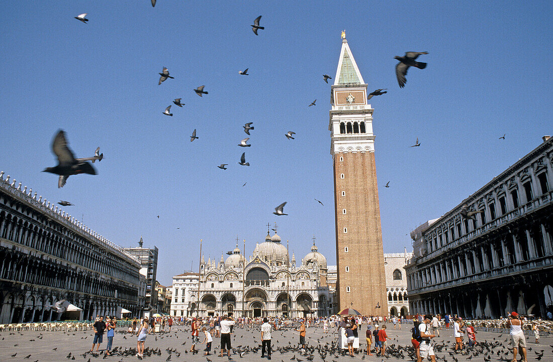 St. Marks Square. Venice. Italy