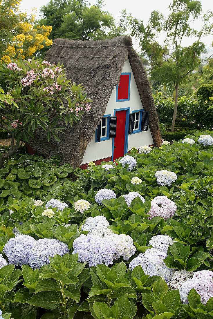Typical Casa de Colmo (thatched roof house) in Funchal Botanical Garden. Madeira Island. Portugal
