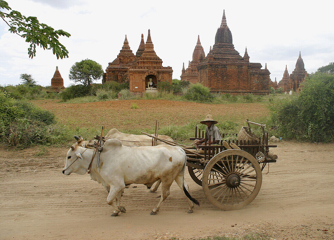 Bagan archaeological zone. Myanmar (Burma)