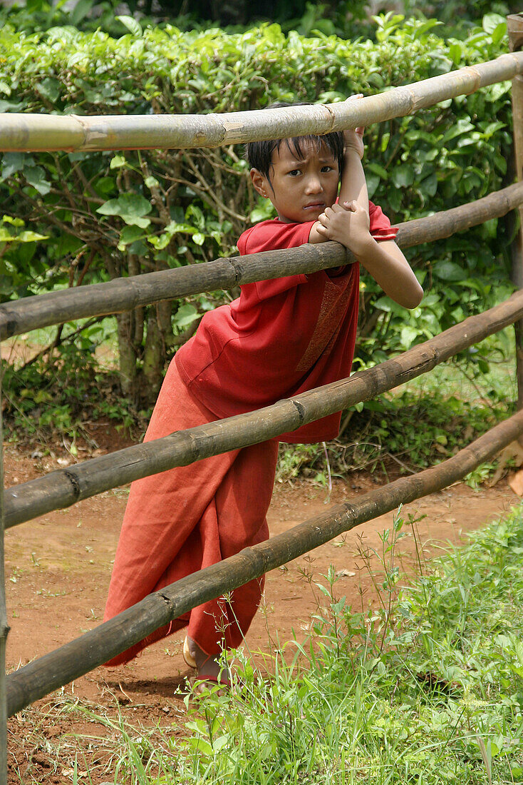 Young girl of the Pao tribe. Kakku. South Shan State. Myanmar (Burma).