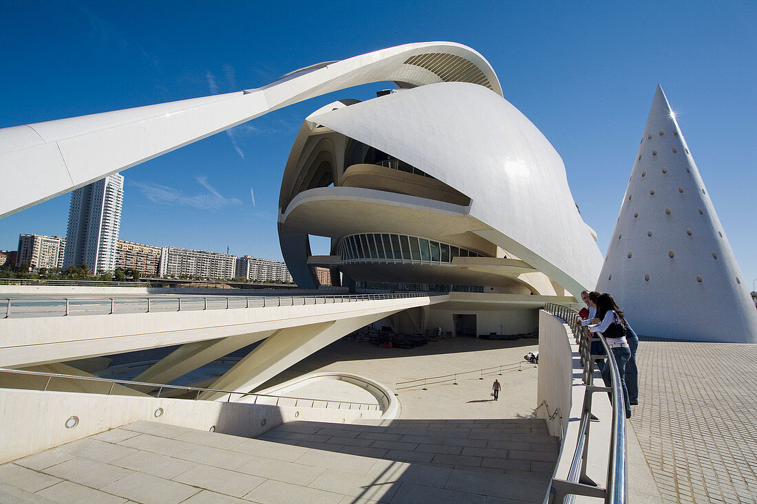 Palacio de las Artes Reina Sofía, City of Arts and Sciences by S. Calatrava. Valencia. Comunidad Valenciana, Spain