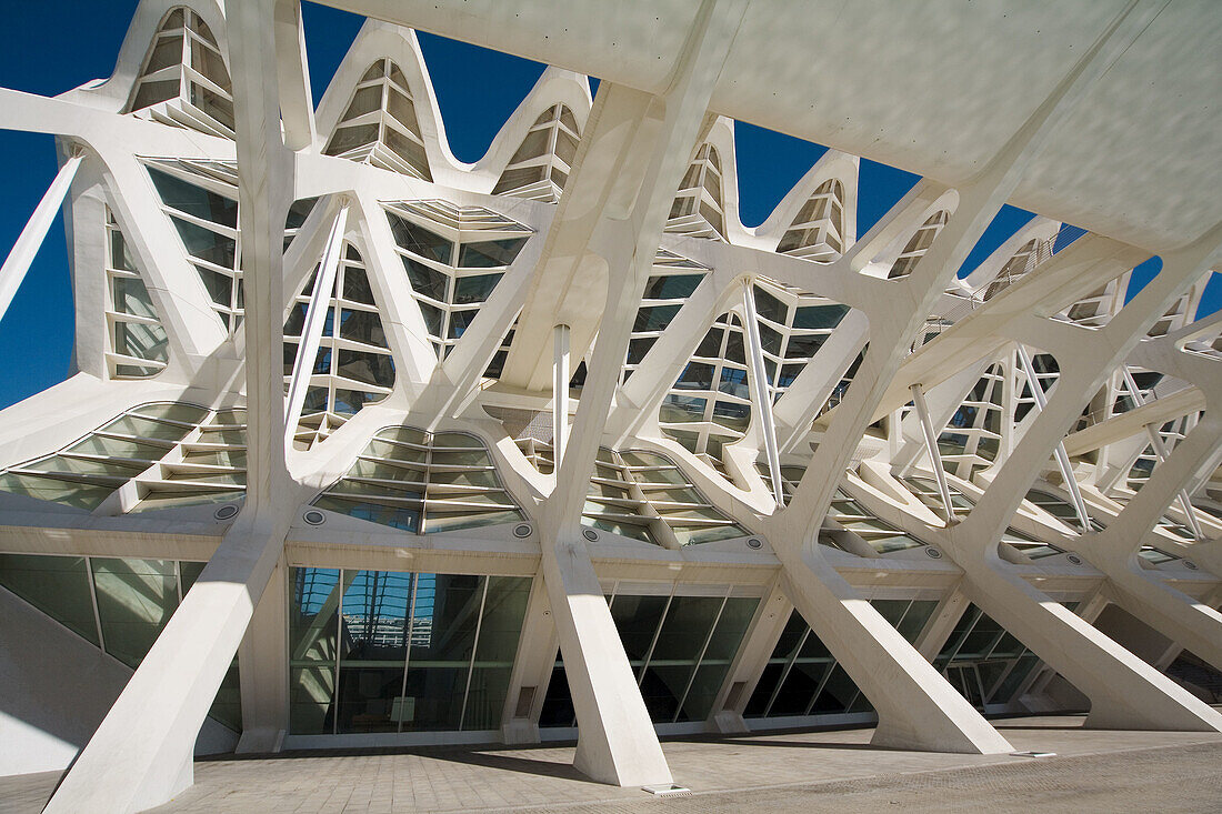 Museum of Science Príncipe Felipe, City of Arts and Sciences by S. Calatrava. Valencia. Comunidad Valenciana, Spain