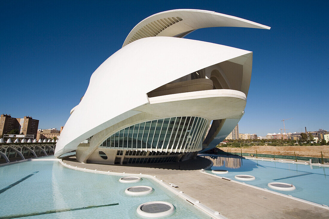 Palacio de las Artes Reina Sofía, City of Arts and Sciences by S. Calatrava. Valencia. Comunidad Valenciana, Spain