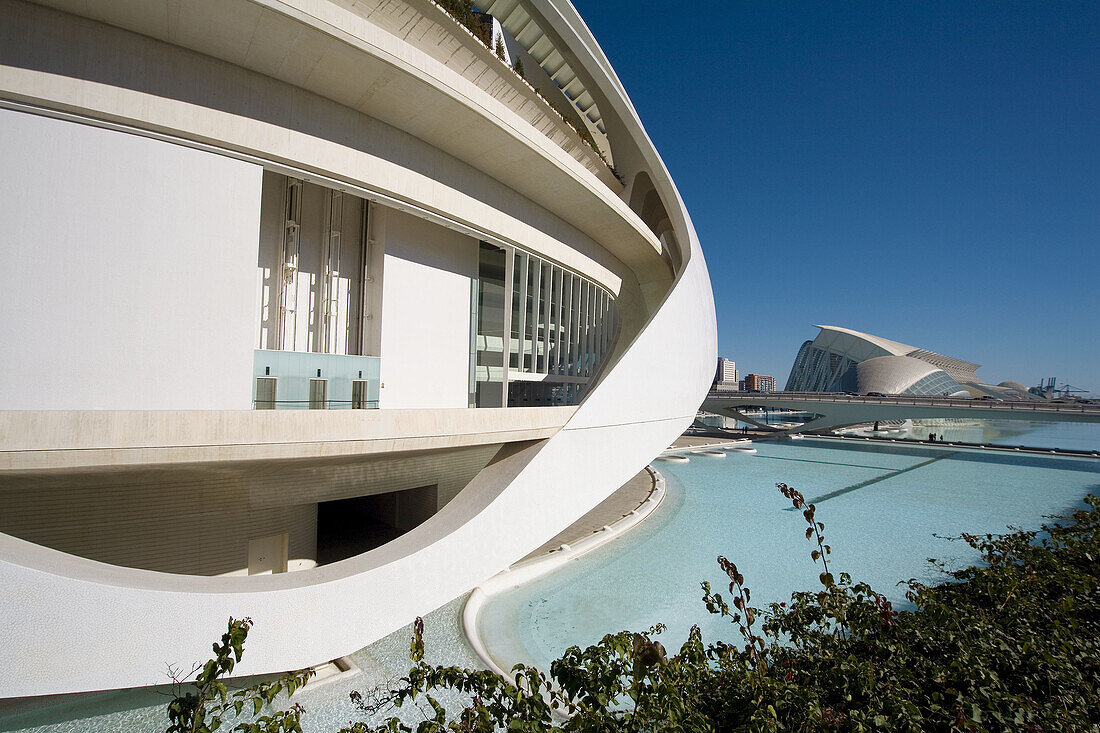 Palacio de las Artes Reina Sofía, City of Arts and Sciences by S. Calatrava. Valencia. Comunidad Valenciana, Spain