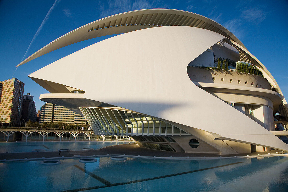 Palacio de las Artes Reina Sofía, City of Arts and Sciences by S. Calatrava. Valencia. Comunidad Valenciana, Spain